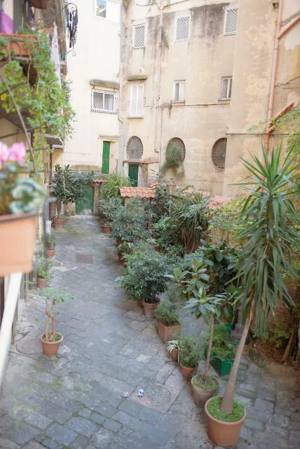 Fv Studios Chiaia Naples